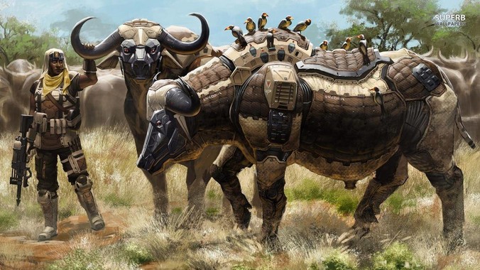 上海迪斯尼为什么老是打架？